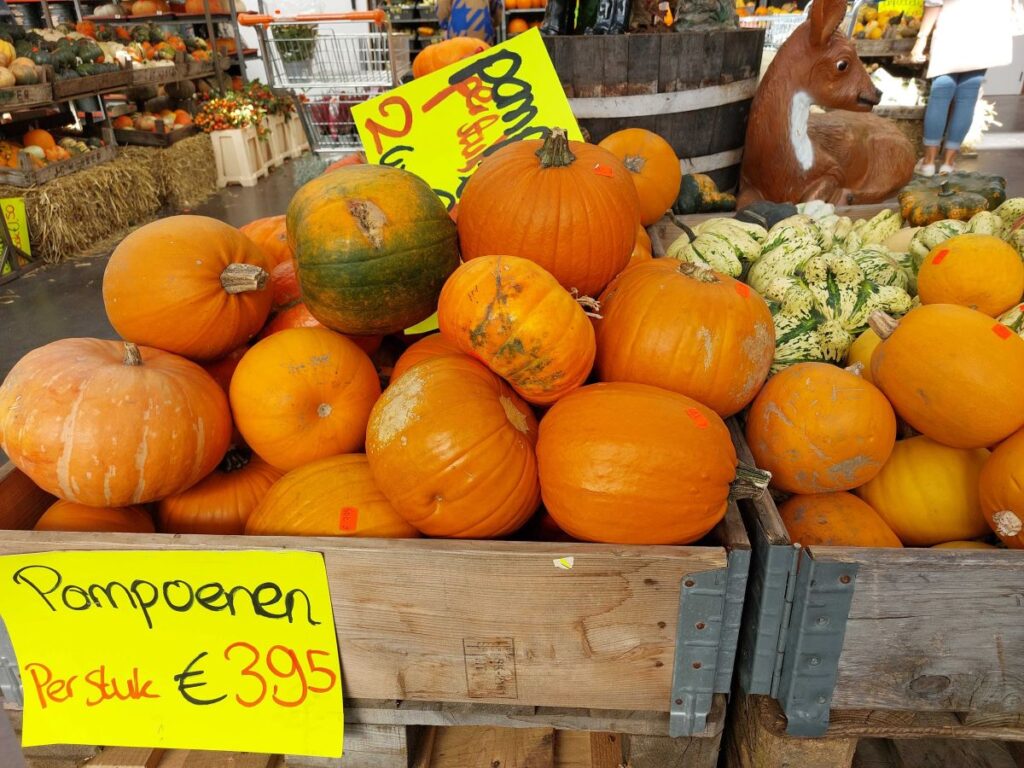 Van der Spek Zevenhuizen