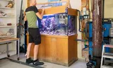Sander van Lopik at an aquarium in Diergaarde Blijdorp where various corals and fish live.