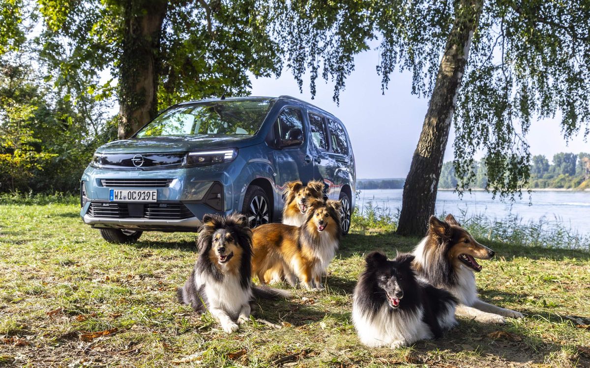 Opel Combo Electric: Ideal for traveling with your pet