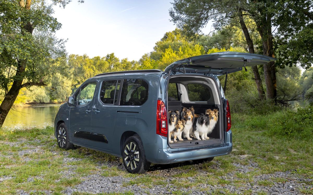 Opel Combo Electric: Ideal for traveling with your pet