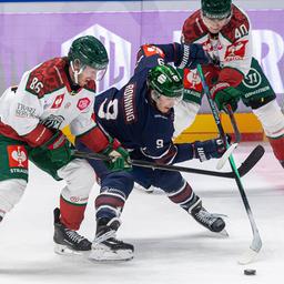 Ty Ronning from the Eisbären in a duel with Gothenburg's Erik Thorell (imago images/Matthias Koch)