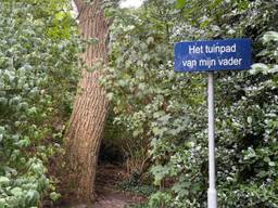 https://api.omroepbrabant.nl/img/f/$width$/$height$/0.5/0.5/bWVkaWEvcHJvZC80NzI5OTEzLmpwZz9zdj0yMDE5LTA3LTA3JnN0PTIwMjAtMDEtMDFUMDAl M0EwMCUzQTAwWiZzZT0yMDQwLTAxLTAxVDAwJTNBMDAlM0EwMFomc3I9YiZzcD1yJnNpZz1VNUZTQWRjNjZqYkx4dkJIYWJaTnJkcHc4cUdPaGpkWTVETEtONDNLbDUwJTNE