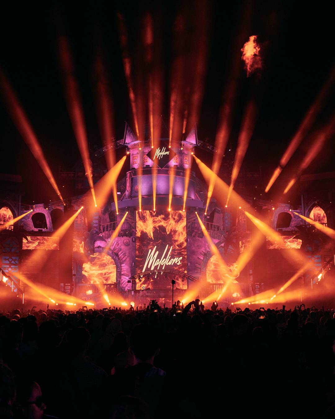 Image: Malelions