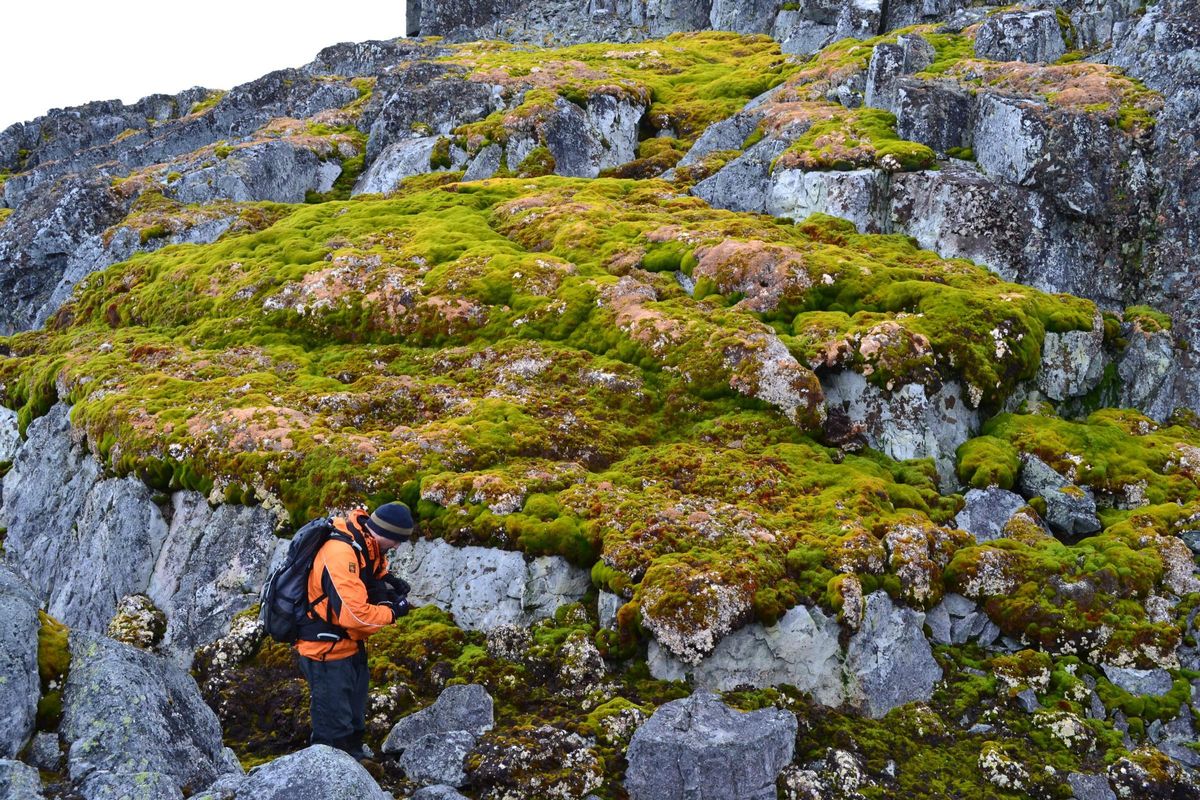 Norsel Point, on the Antarctic Peninsula.