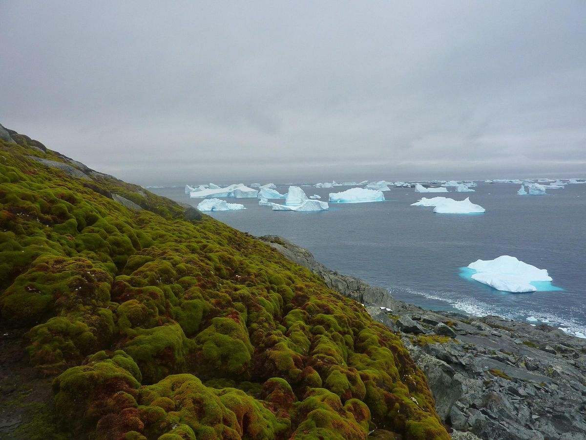 Green Island, Antarctica.