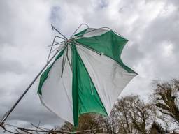 https://api.omroepbrabant.nl/img/f/$width$/$height$/0.52/0.36/bWVkaWEvcHJvZC8zMzY0Mzg5LmpwZz9zdj0yMDE5LTA3LTA3JnN0PTIwMjAtMDEtMDFUMDAlM0E wMCUzQTAwWiZzZT0yMDQwLTAxLTAxVDAwJTNBMDAlM0EwMFomc3I9YiZzcD1yJnNpZz03ZlA0c3NITUZpOUtqb2RlVG9nR21zdElLYUM4JTJCRkNLbkYlMkJCJTJGbzVpZGZZJTNE