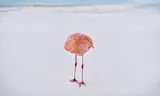 'AI photo' turns out to be a real photo