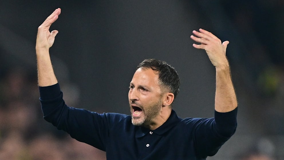 Heizt das Publikum an: Domenico Tedesco (40)