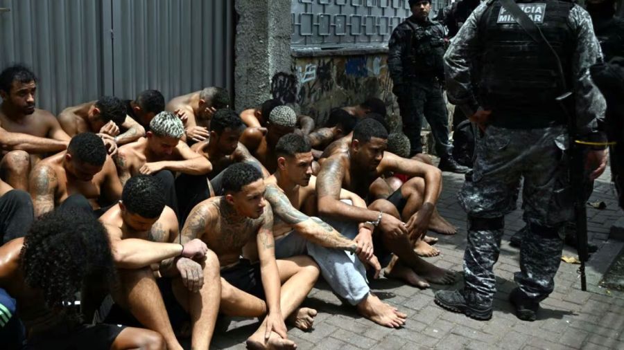 Brazil narco