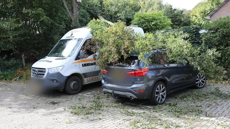 On the Amberberg in Roosendaal, two cars were struck by a heavy branch (photo: Christian Traets/Press Bureau Heitink).