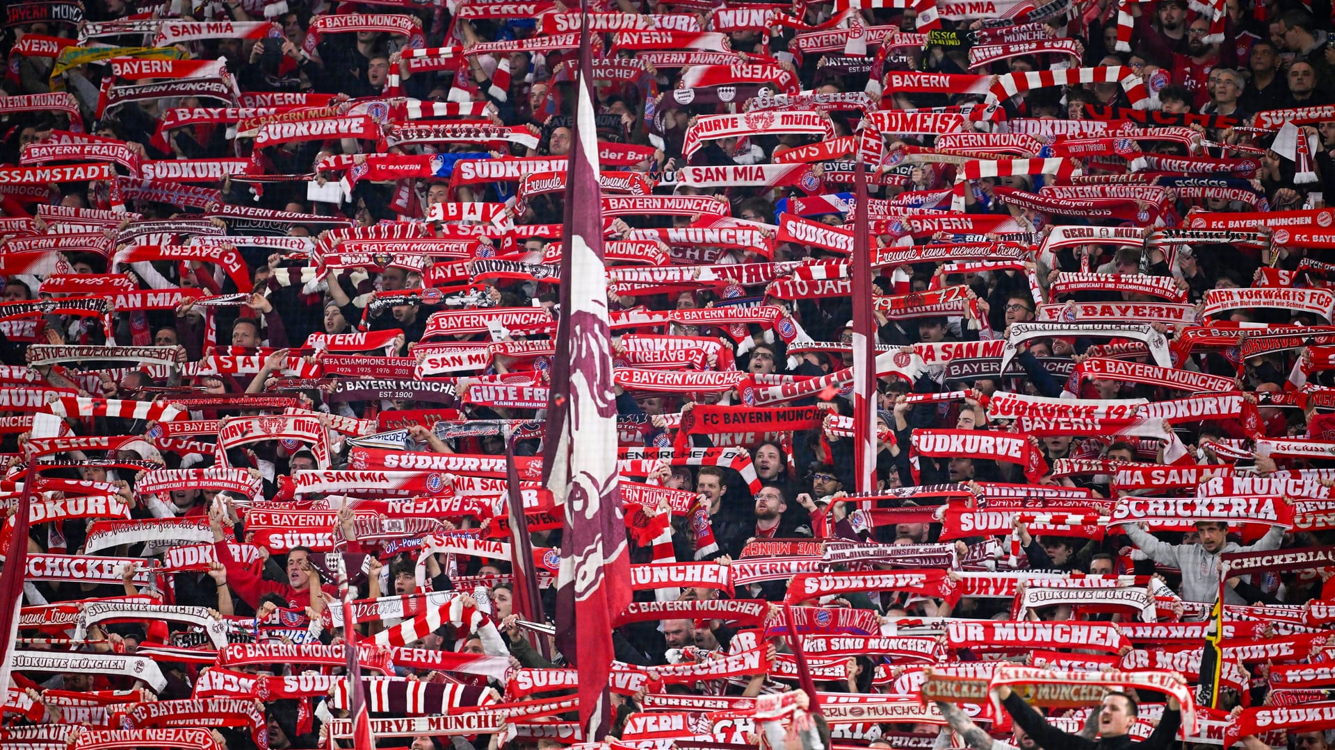 Bayern fans at the game against Bruges: The supporters of the German record champions position themselves clearly. Bayern fans at the game against Bruges: The supporters of the German record champions position themselves clearly.