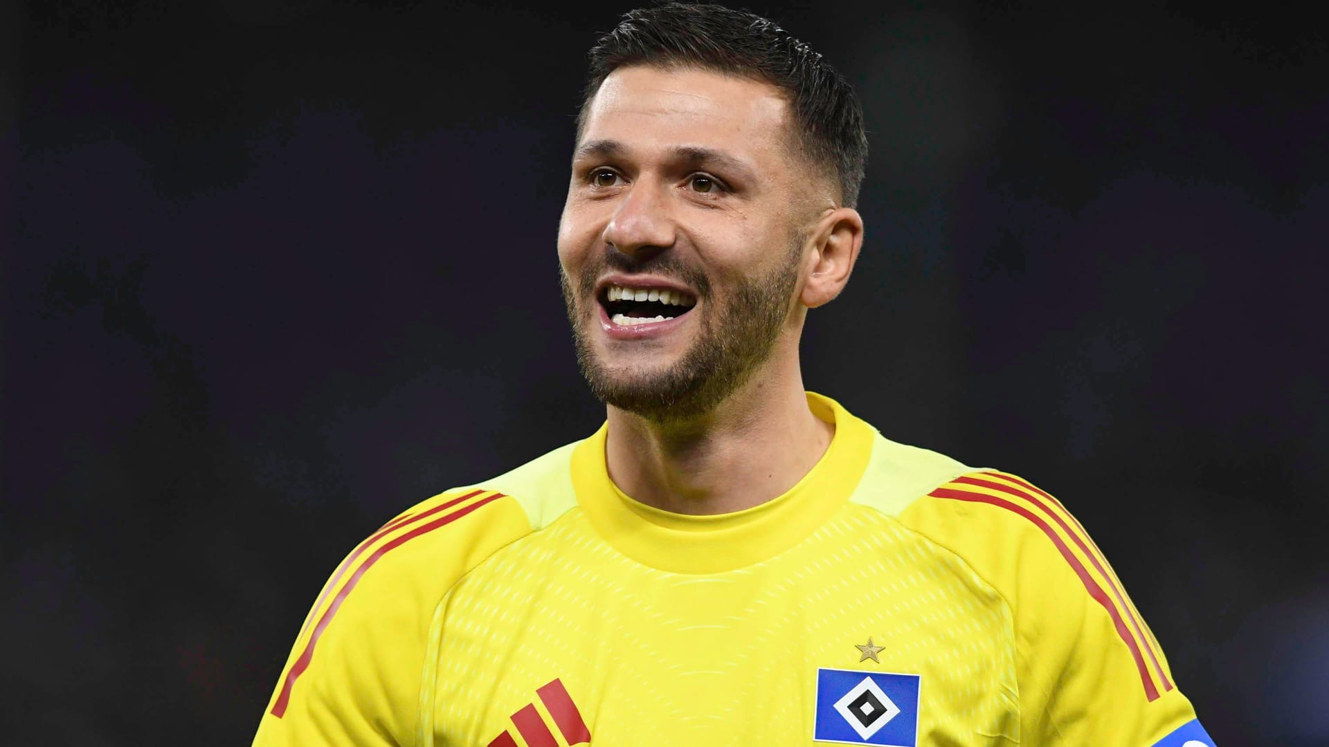 Daniel Heuer Fernandes: The German-Portuguese has played 163 competitive games for HSV so far.