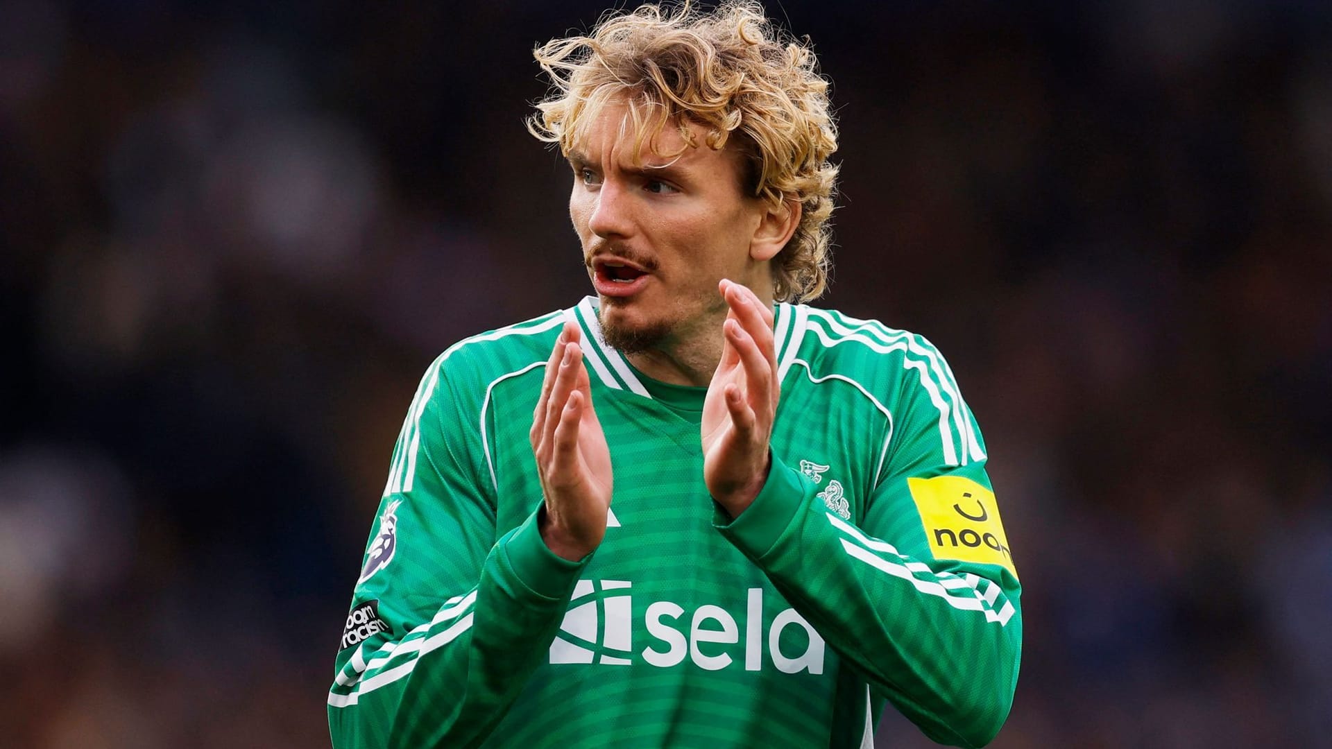 Still in top form: Nick Woltemade in the game at Brighton & Hove Albion.