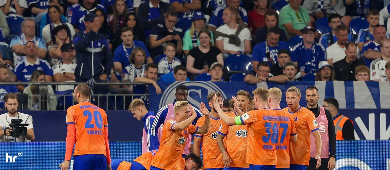 The lilies will be cheering on Schalke in September 2024