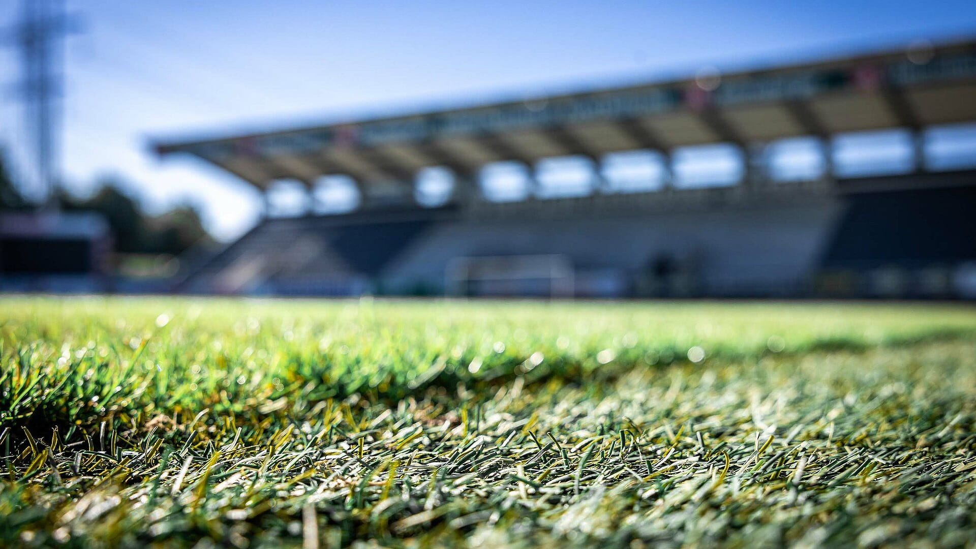 A view of the stadium lawn from the SCR Attach. The club has been rocked by a scandal.