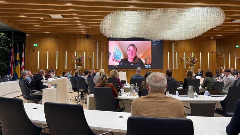Gräper thanked the Tilburg council via video connection on Thursday evening (photo: Pieter Soethout).