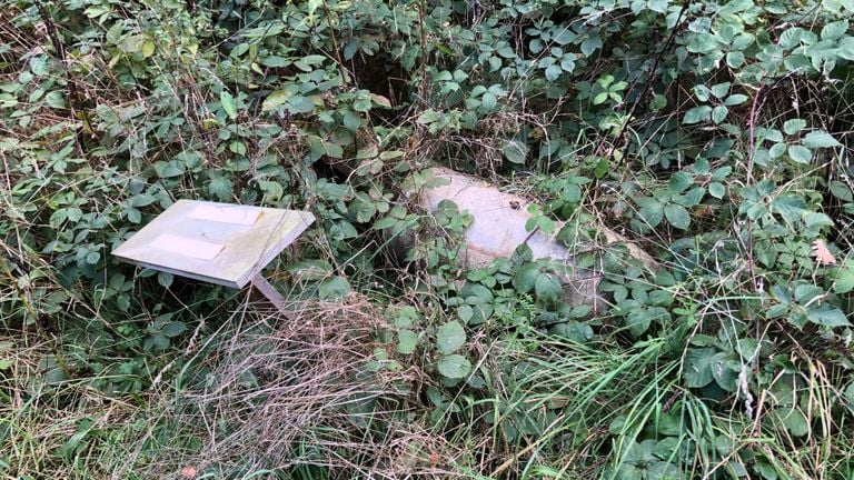 German practice bomb of concrete between the blackberry bushes Fragment aircraft bomb that was once found at Eindhoven Air Base (photo: Willem-Jan Joachems)