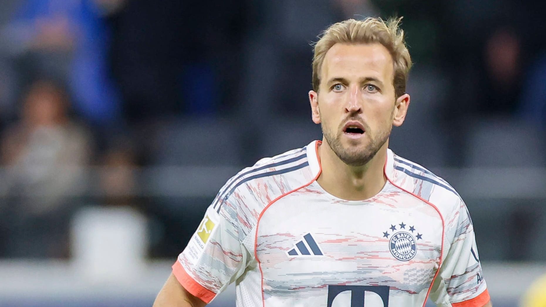 Harry Kane: The striker was top scorer last season.