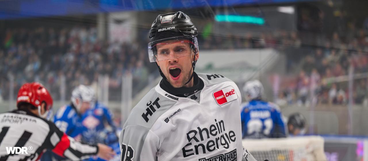 Dominik Bokk from the Kölner Haien celebrates his goal against the Dresden Eislöwen.