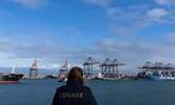 A container terminal on the Rotterdam Maasvlakte. Rotterdam and Antwerp have become the absolute gateway to Europe for cocaine.