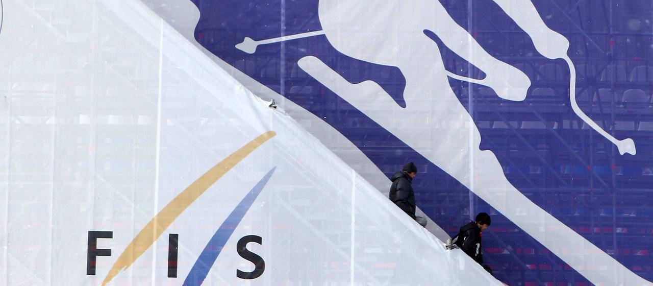 Logo of the world association FIS