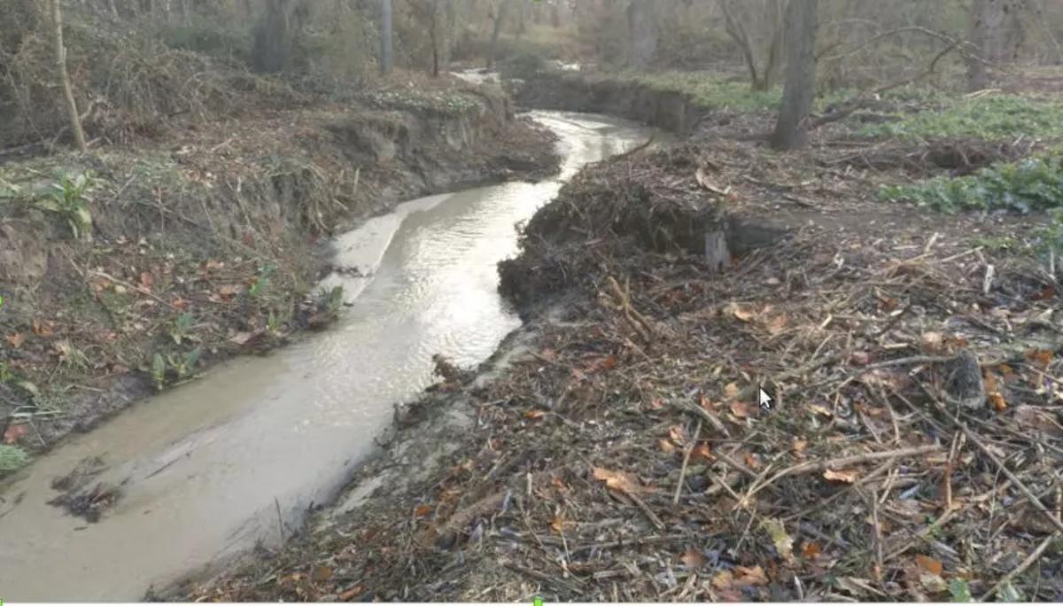 Torrent devastated by excessive cleaning of vegetation in Madrid
