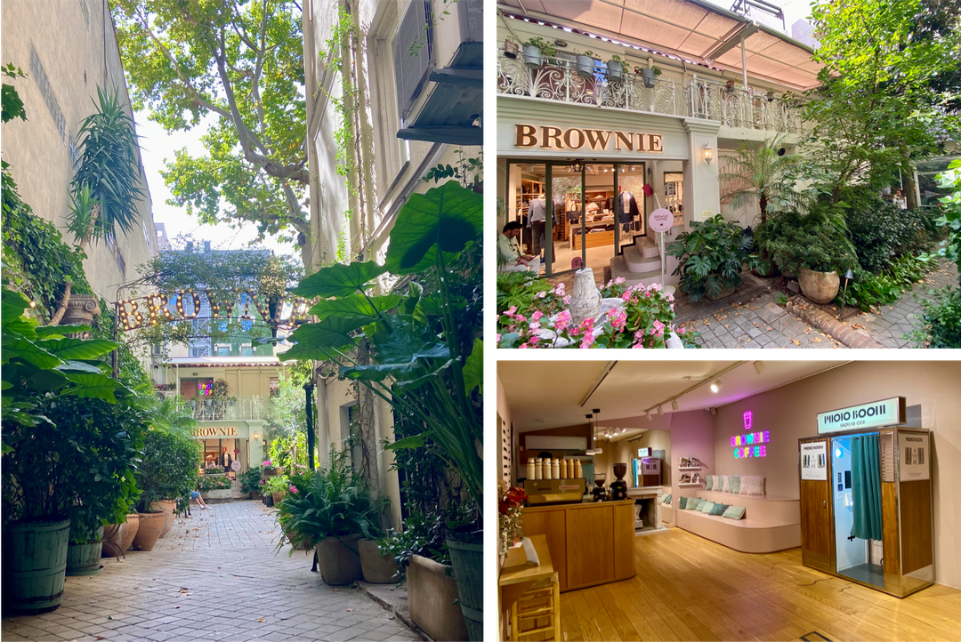 The angle of Brownie in Madrid
