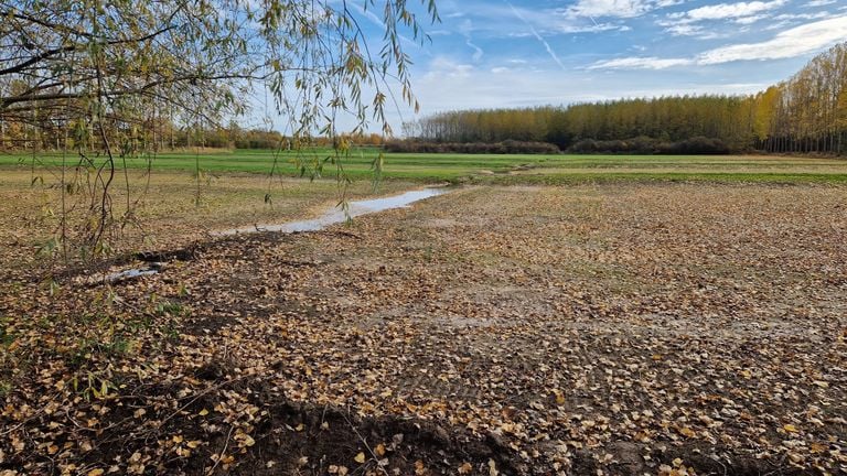 One of the plots where twenty to thirty centimeters of soil has been removed (photo: Tom Berkers).