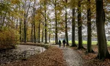 Hikers in the countryside near Brummen, Gelderland.