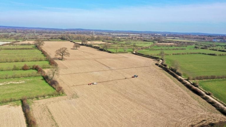 The piece of agricultural land that has now been turned into a nature reserve (photo: Lars van Peij). 