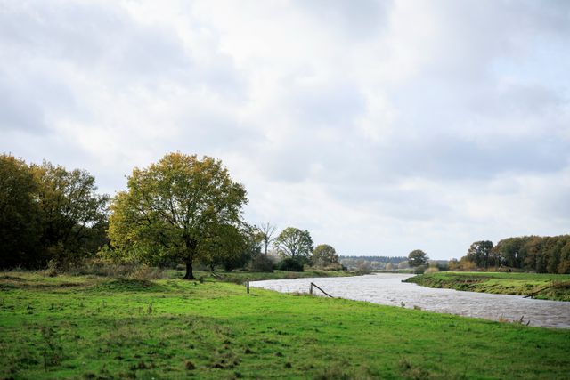 The Vecht near Ommen.
