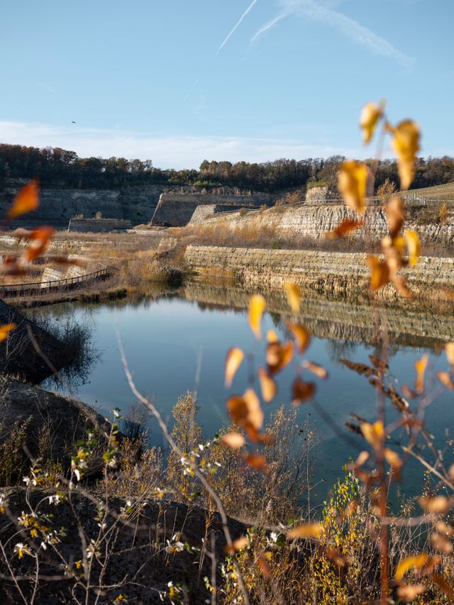 Many fossils from the Maastrichtian have been found in the ENCI quarry near Maastricht.