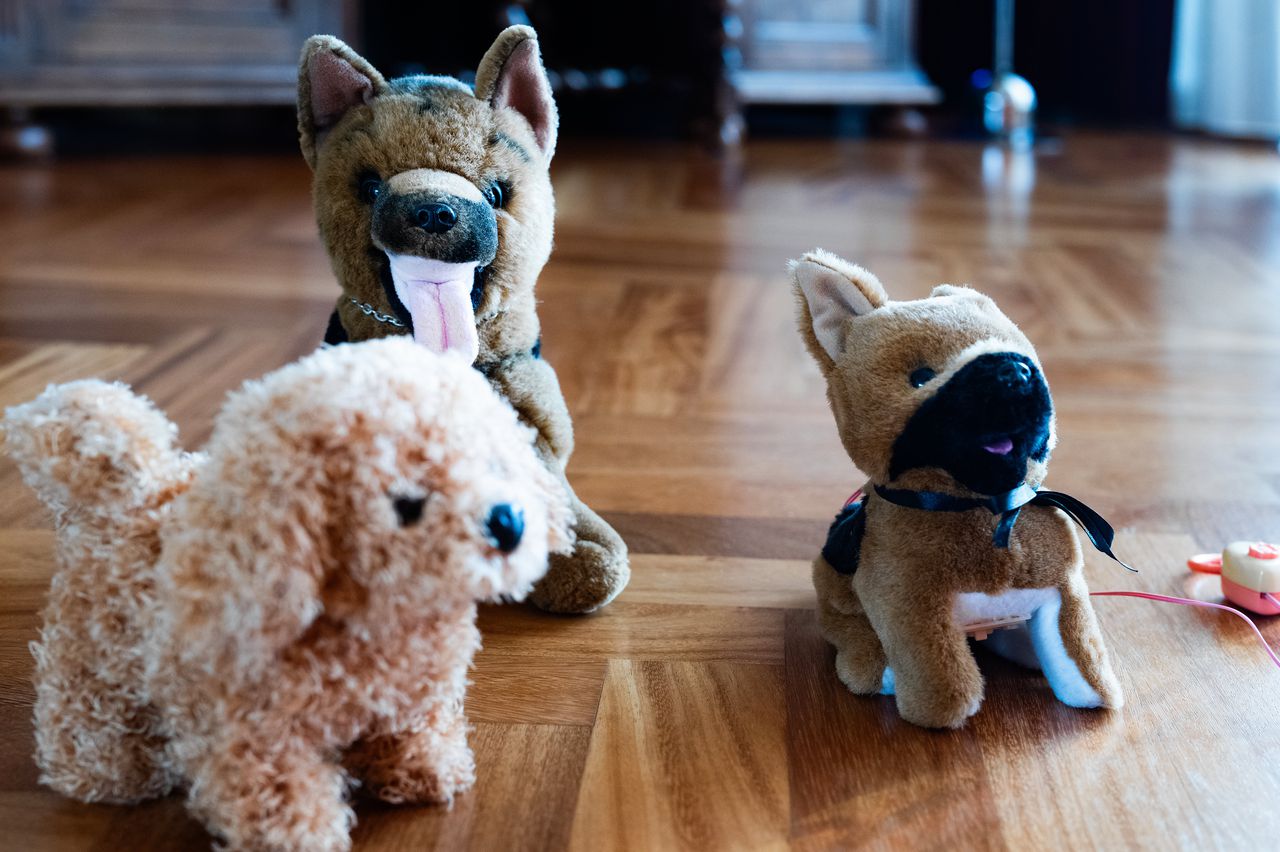 “Peter gets along well with animals. But we don't get a real dog, because you also have to walk it when it rains.”