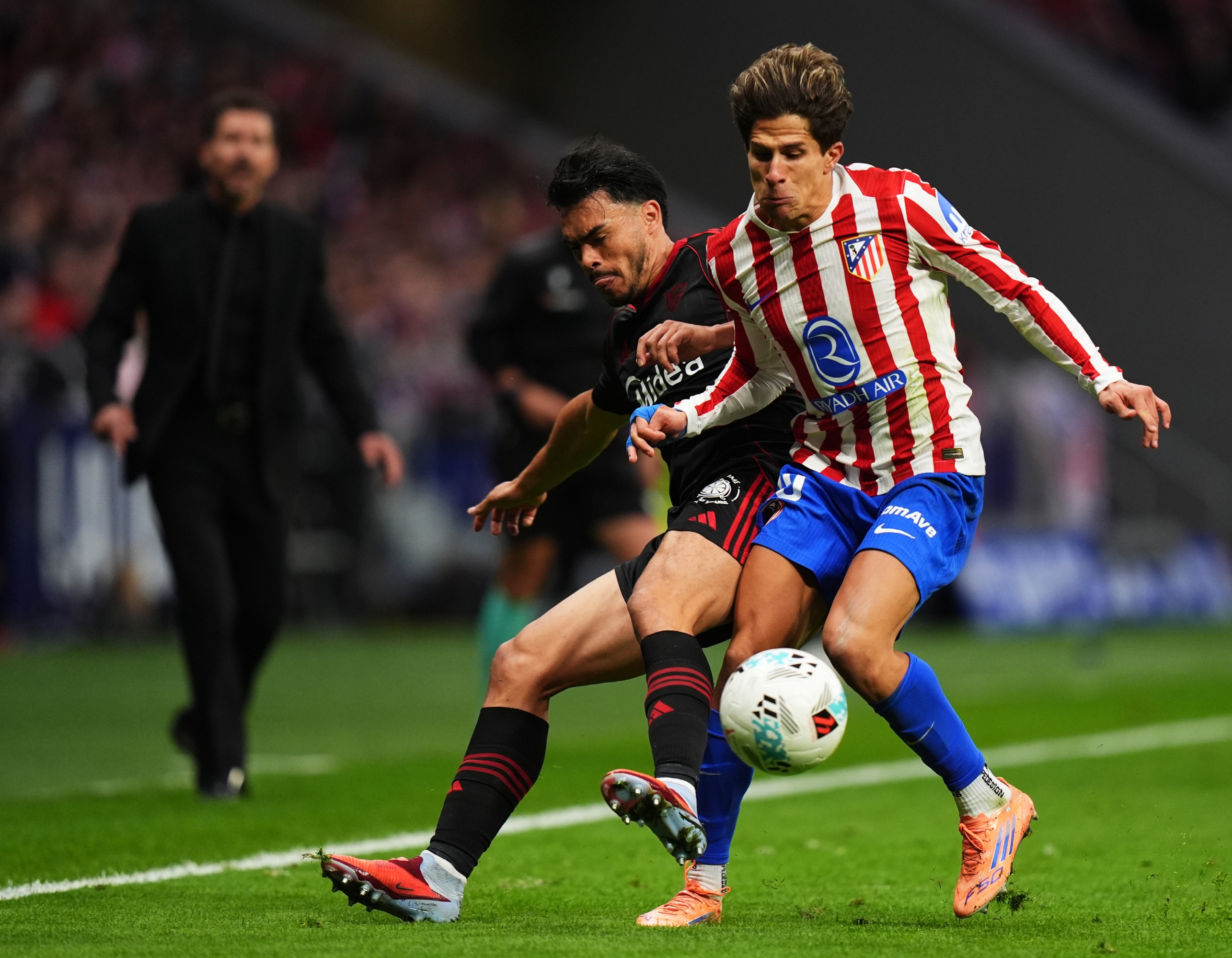 MADRID, SPAIN - NOVEMBER 01: Gabriel Suazo of Sevilla FC battles for possession with Giuliano Simeone of Atletico de Madrid during the LaLiga EA Sports match between Atletico de Madrid and Sevilla FC at Riyadh Air Metropolitano on November 01, 2025 in Madrid, Spain. (Photo by Angel Martinez/Getty Images)