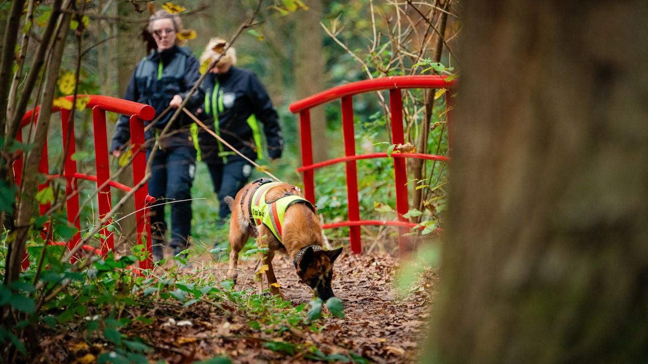 Supervisor Fleur together with sniffer dog Tesla in search of a missing person (photo: Bram Berkien)