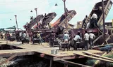 Pouring concrete in 1966 during the construction of the Nieuwe Haven in Paramaribo. 
