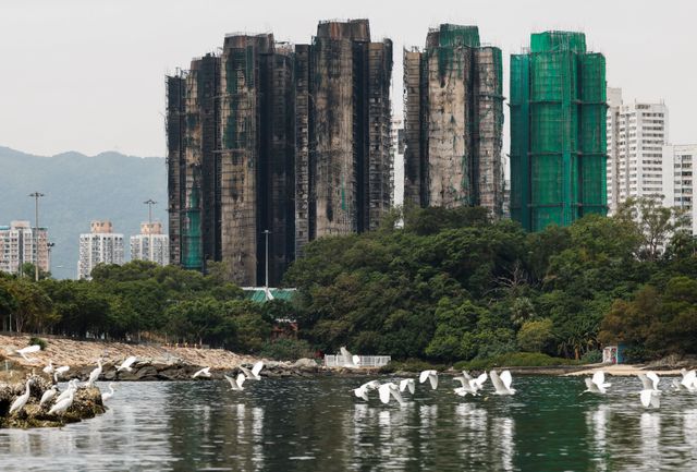 The blackened residential towers of Wang Fuk Court on Sunday. The fire has been extinguished in all towers, but the remains of dozens of missing residents are probably still in the apartments.