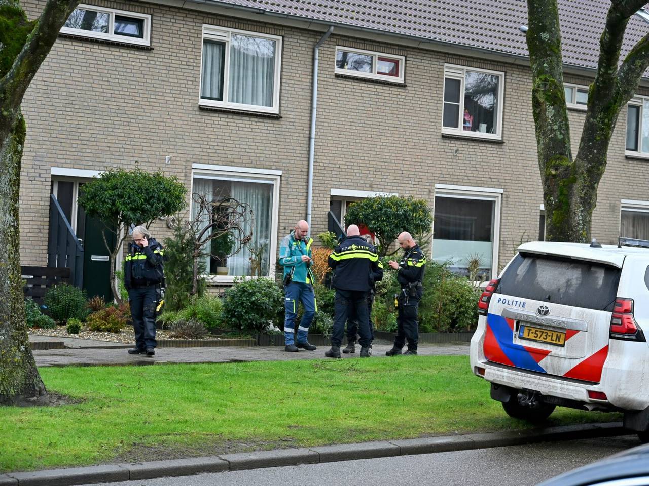 https://api.omroepbrabant.nl/img/f/$width$/$height$/0.46/0.49/cmV2aXNpb25zLzQ2MzIxNDAtMS5qcGc_c2U9MjA0NS0wMS0wMVQxMCUzQTQwJTNBMDBaJnNpZz1mck9 4ZzIwcGlPNzZ3ajA5QjdGTm0wOXRjM2V4aWZjM2hUYXNJYVlZc2QwJTNEJnNwPXImc3ByP Wh0dHBzJnNyPWImc3Q9MjAyNS0wMS0wMVQxMCUzQTQwJTNBMDBaJnN2PTIwMjAtMTAtMDI=