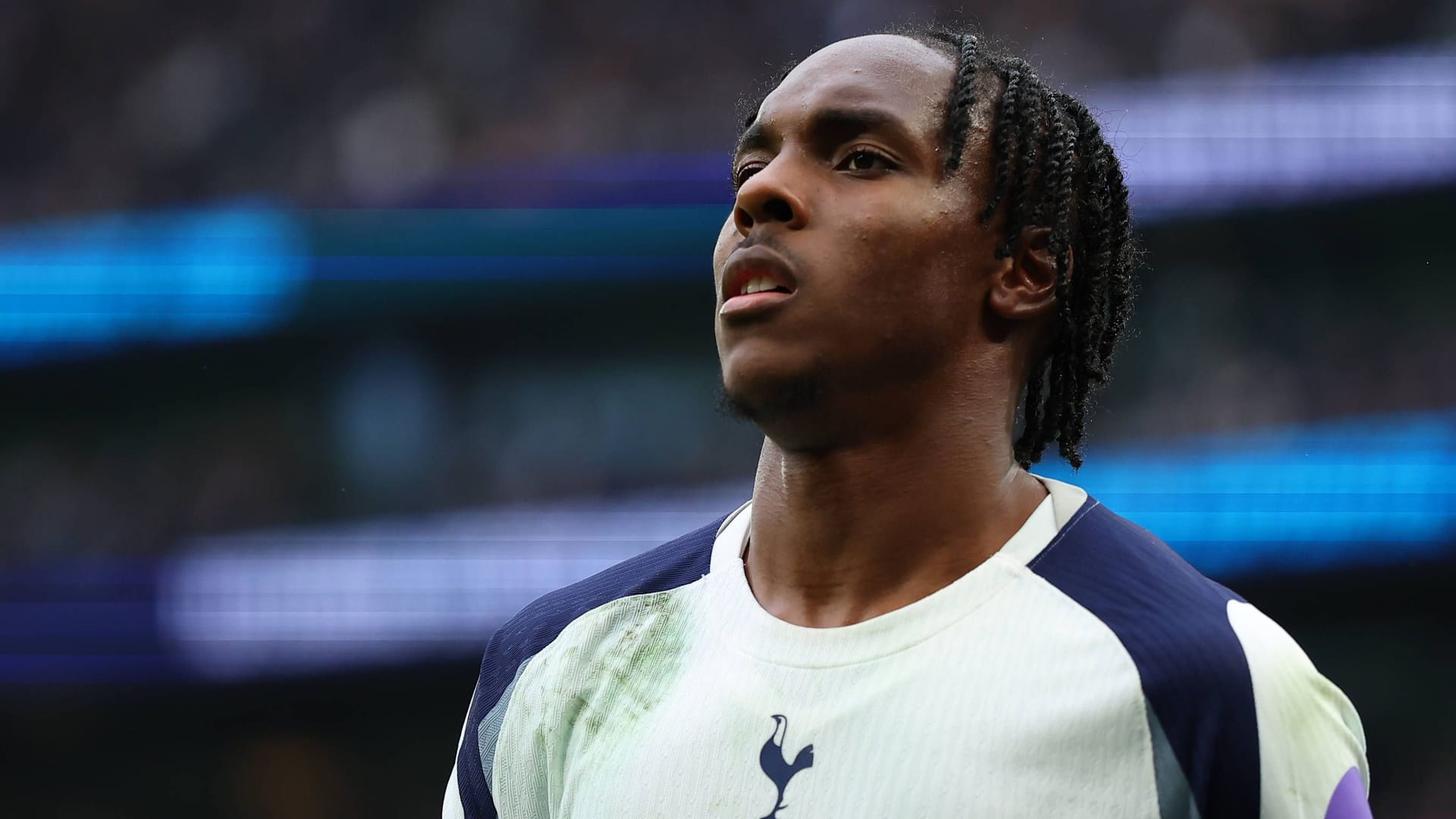 Mathys Tel: He moved permanently to Tottenham in the winter.