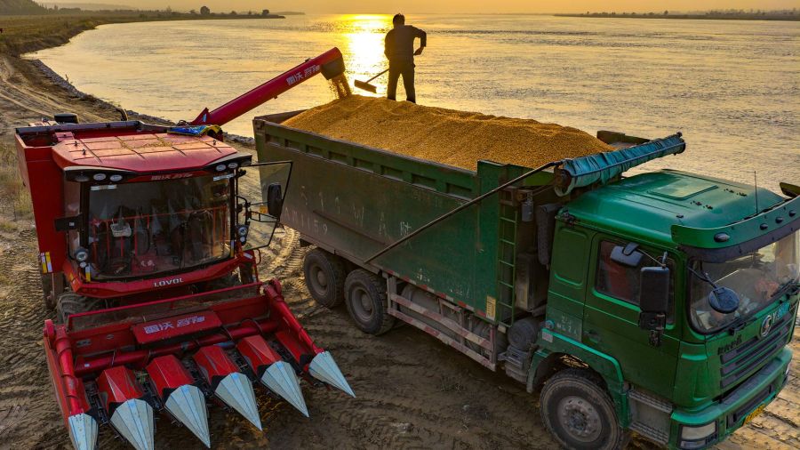 Photogallery Aerial drone view of harvested corn loaded on a truck, in Sanmenxia City, Henan Province, central China.