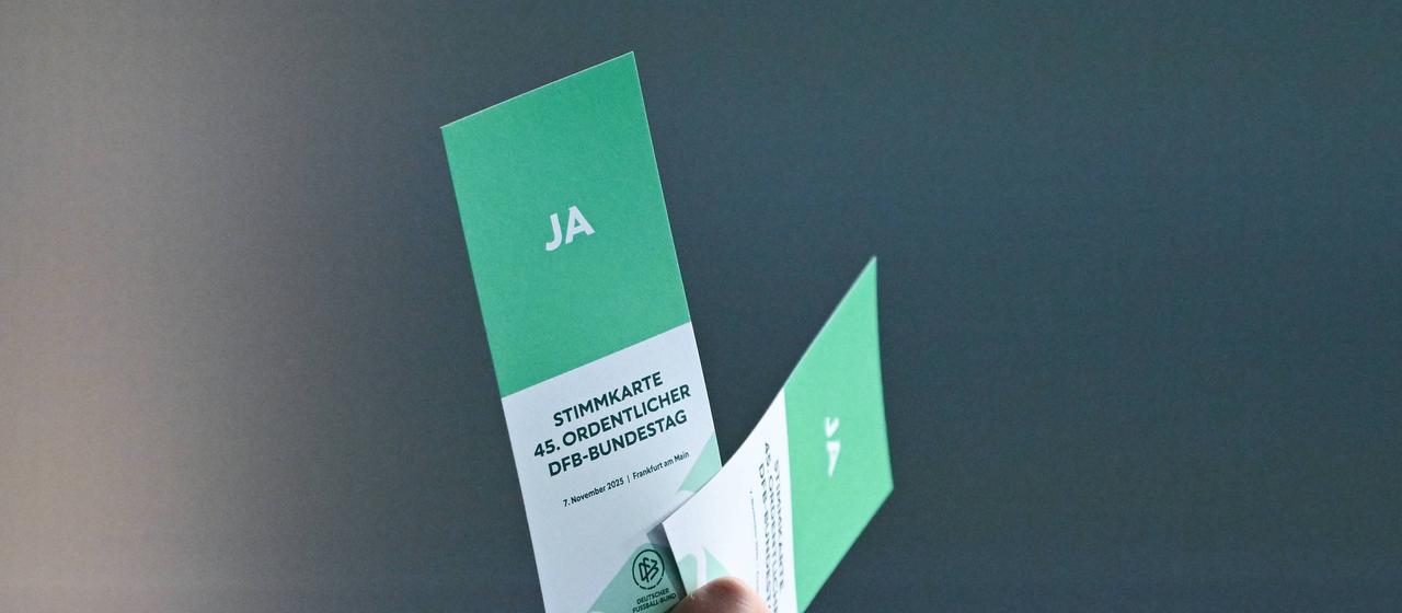 DFB voting cards