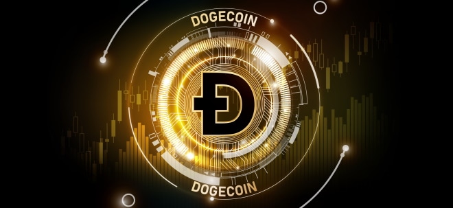 Correction or buying opportunity? Experts see Dogecoin as the secret winner of the market decline | finance.net