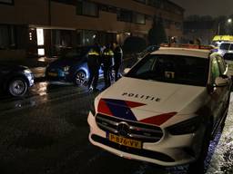 https://api.omroepbrabant.nl/img/f/$width$/$height$/0.48/0.38/bWVkaWEvcHJvZC80NDI4NTQ3LmpwZz9zdj0yMDE5LTA3LTA3JnN0PTIwMjAtMDEtMDFUMDAlM 0EwMCUzQTAwWiZzZT0yMDQwLTAxLTAxVDAwJTNBMDAlM0EwMFomc3I9YiZzcD1yJnNp Zz1uWkw0QXElMkZpb1dxYUtjTGdMSmFBR0l1d1JGbUJhdUNPZzRMUjhvWXBzUmclM0Q=