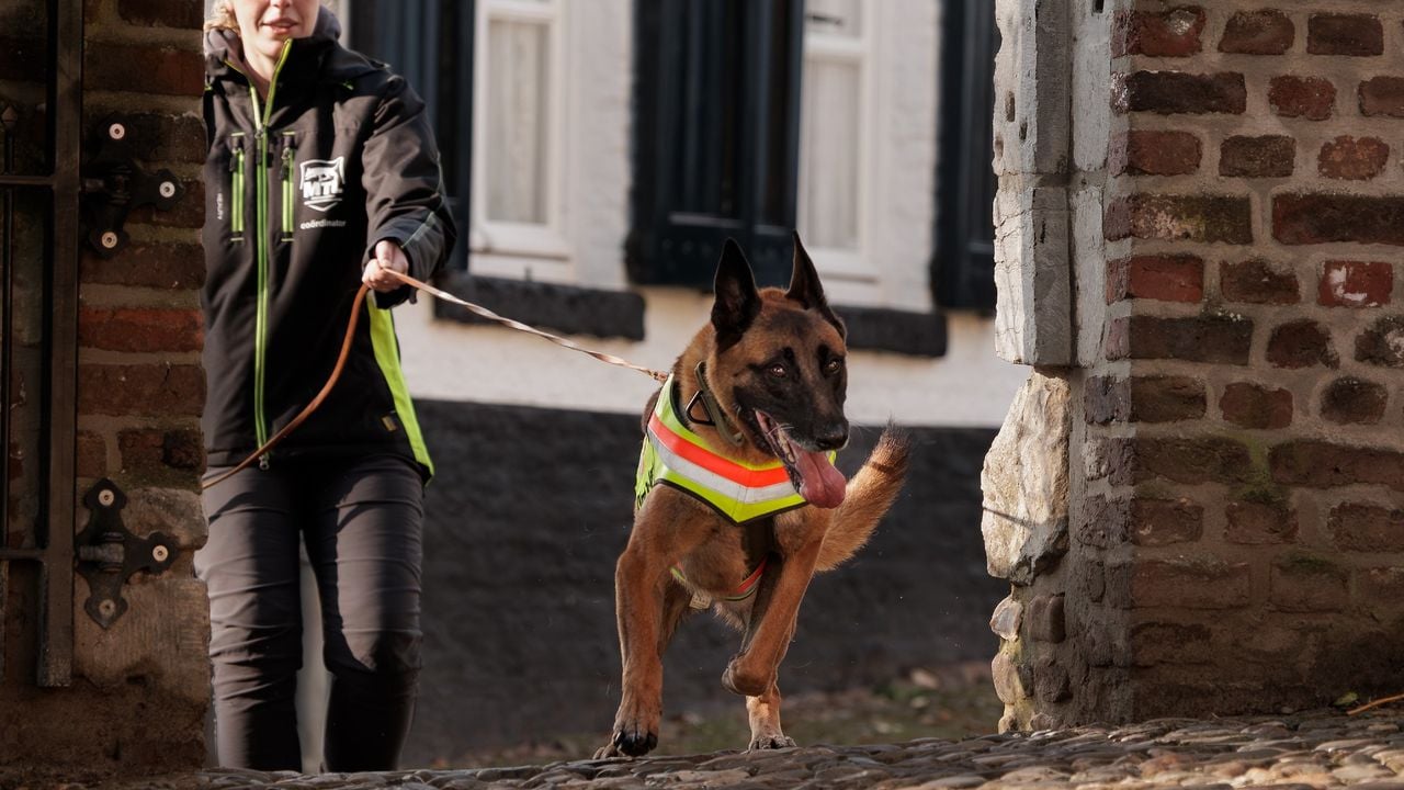 Supervisor Fleur and her now retired dog Kay in an urban area (photo: Studio Snuffel)