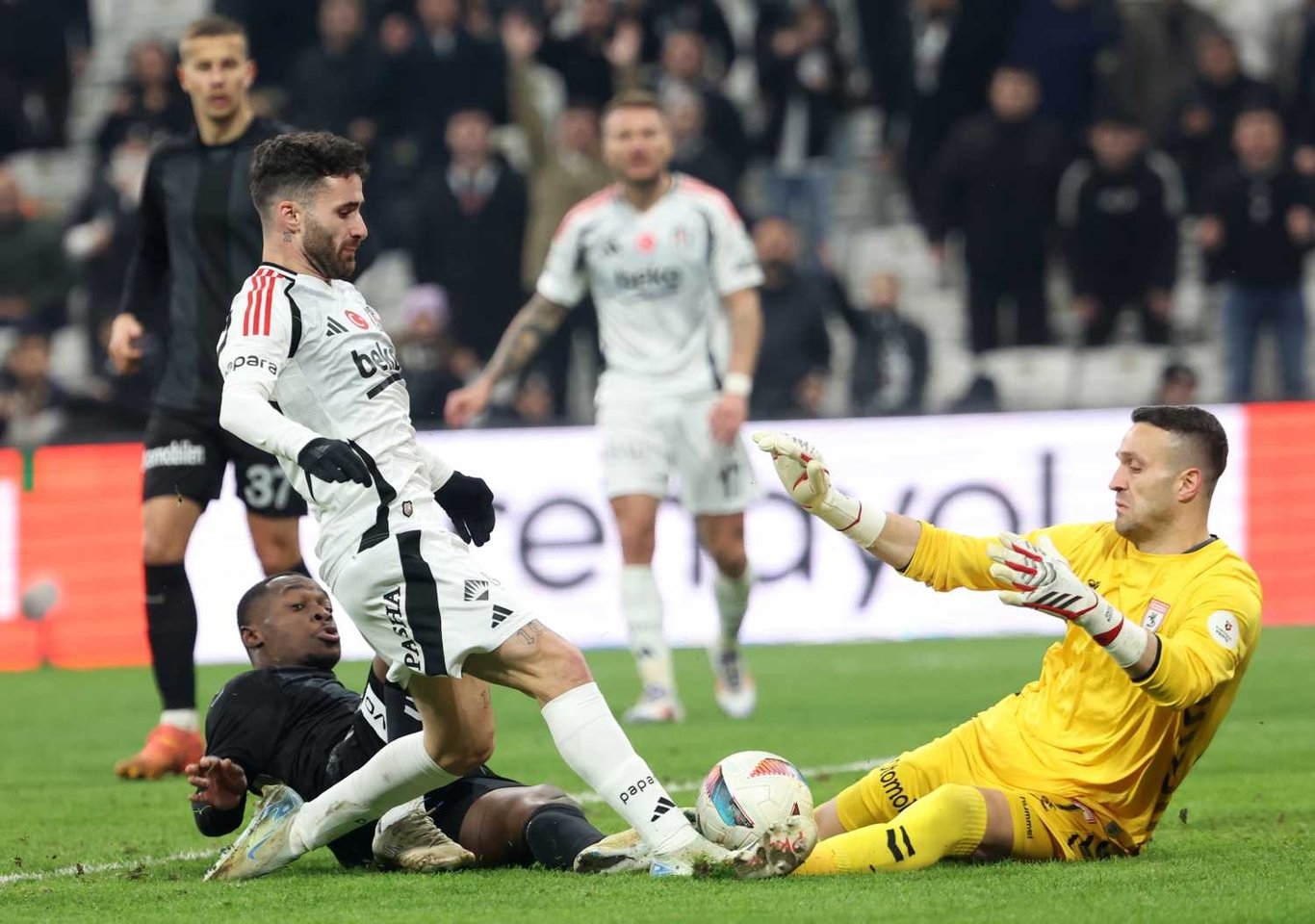 Beşiktaş-Samsunspor matches