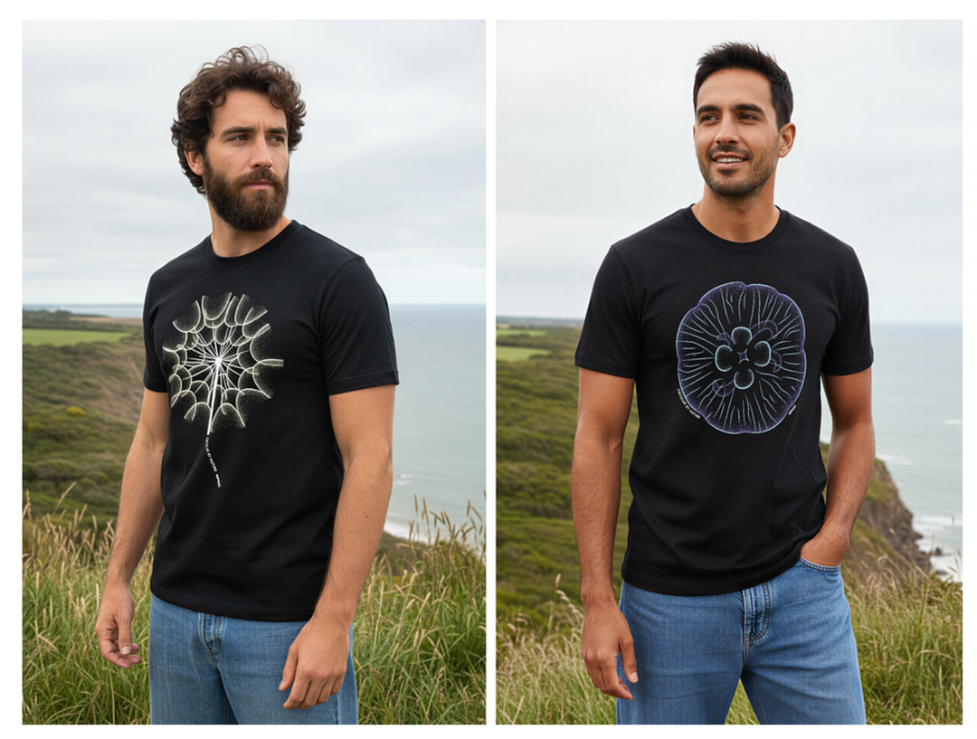 The new Rapanui collection in Remill cotton.