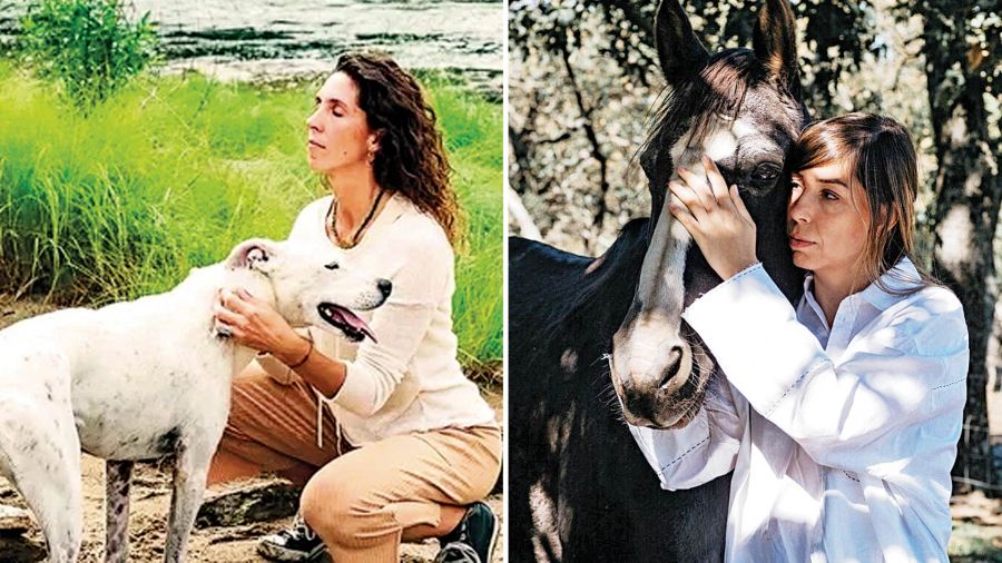 Animal communicators