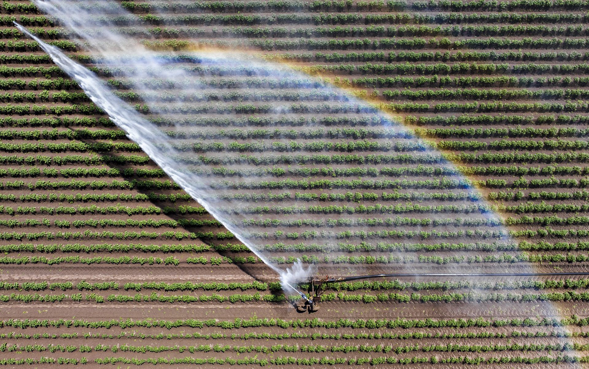 An irrigation system that was deployed due to persistent drought. 