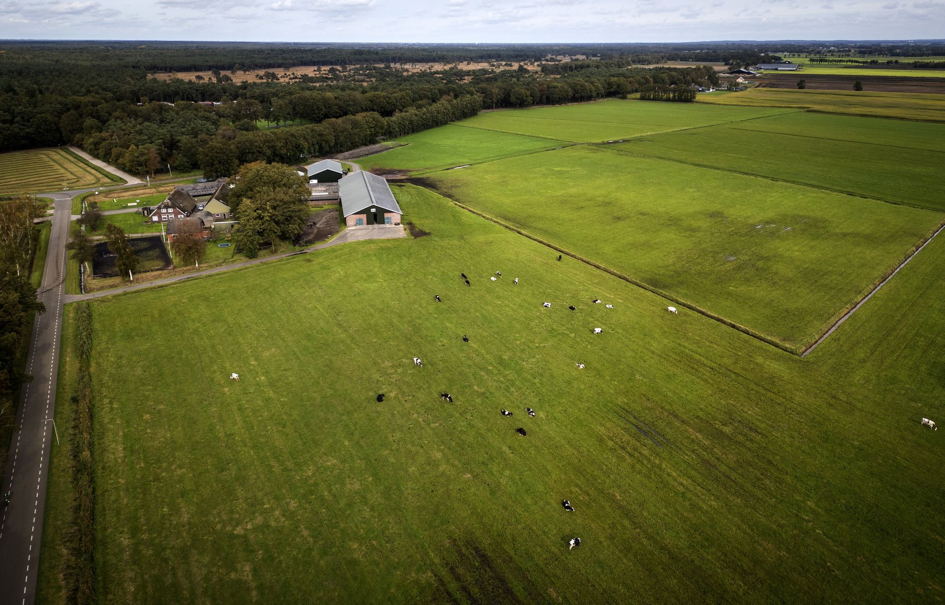Agricultural land and nature in Overijssel.
