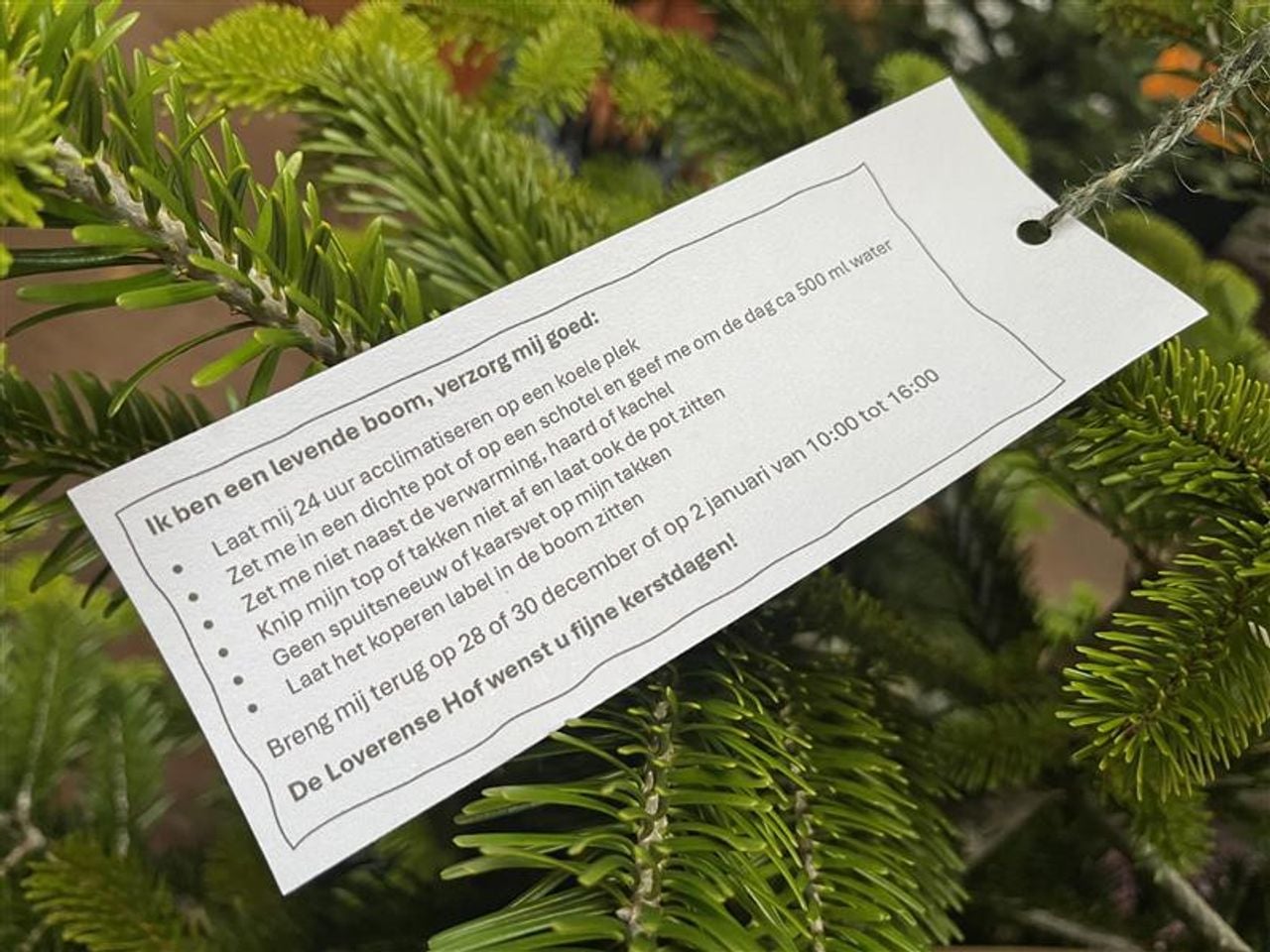 Customers receive instructions on how to take the best possible care of their tree. (photo: Floortje Steigenga)